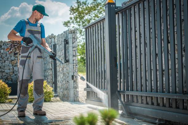 Best Rust Removal  in North Terre Haute, IN