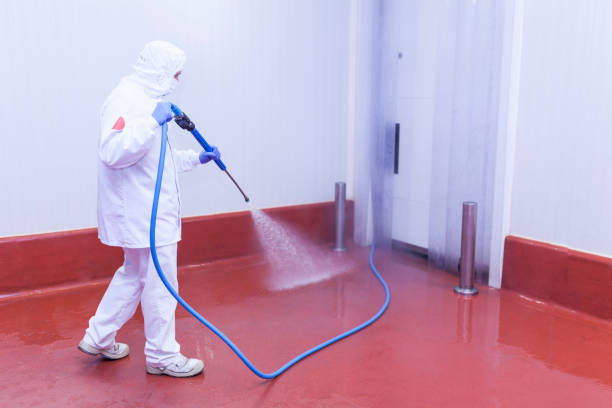 Best Solar Panel Cleaning  in North Terre Haute, IN